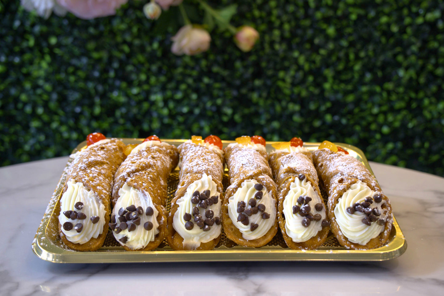 Display of six cannoli from La Roma Pastry Shop in front of greenery