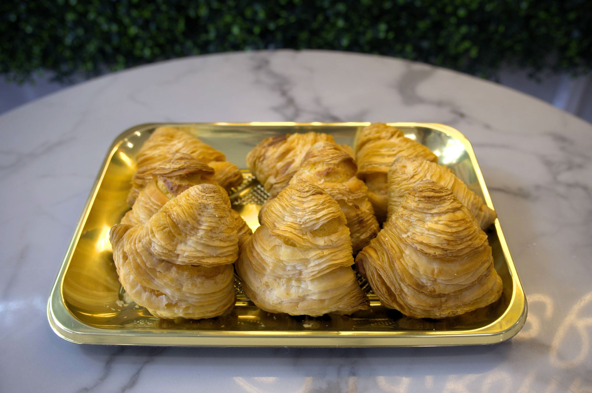 Golden tray of flaky sfogliatelle from La Roma Pastry Shop