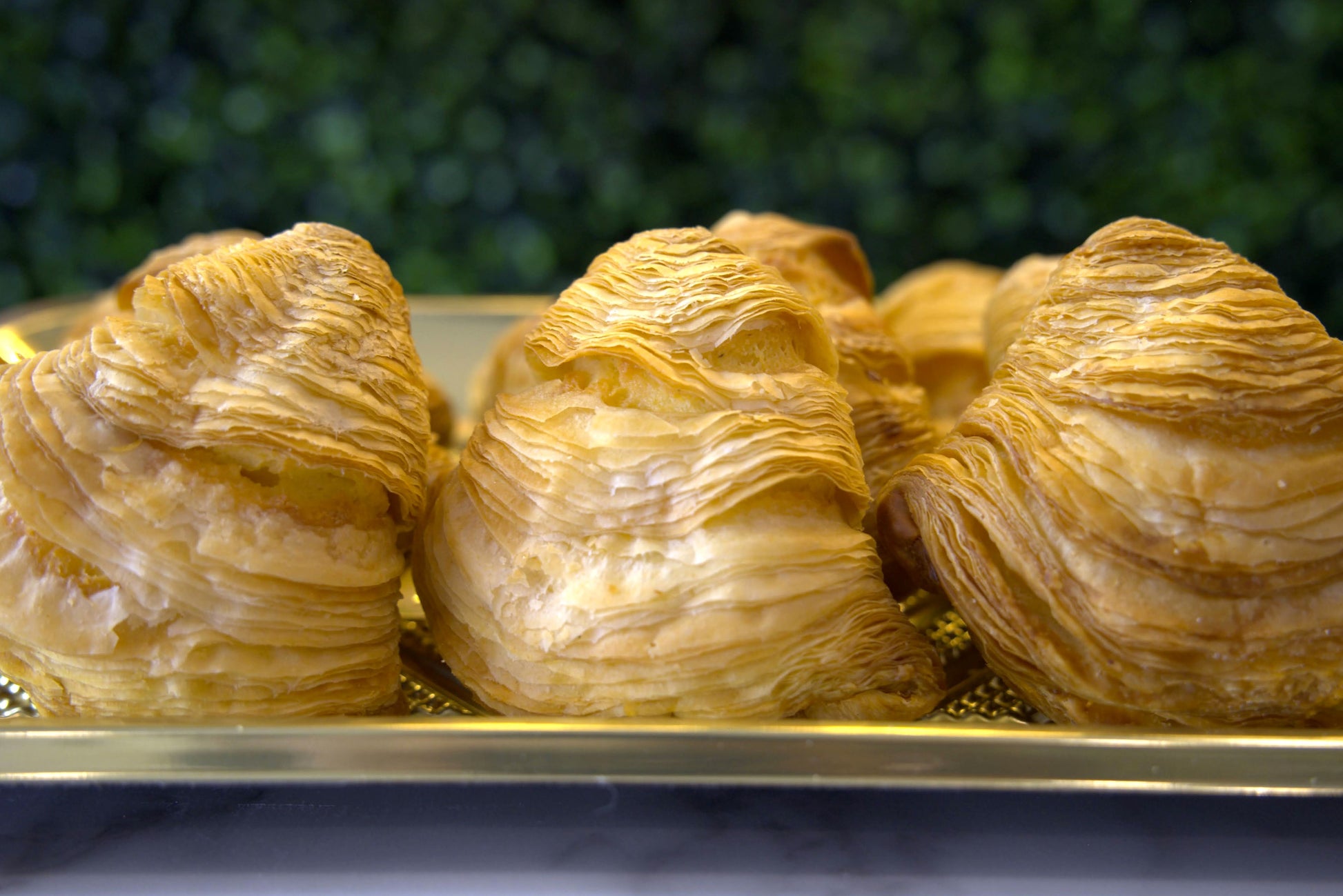 Detail shot of flaky sfogliatelle from La Roma Pastry Shop